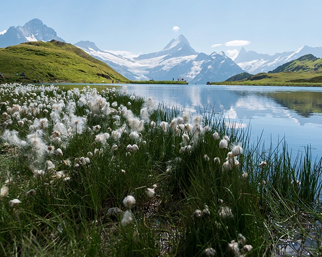 The lake on top of mountain First, Grindelwald
